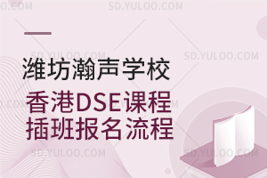 潍坊瀚声学校香港DSE课程插班报名流程是怎样的？
