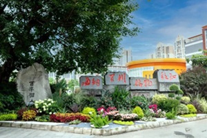 �Ĵ���ѧ������ѧ���ʲ�