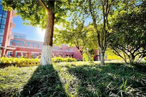 北京外國(guó)語(yǔ)大學(xué)外籍人員子女學(xué)校(地址：北外附校)校園環(huán)境