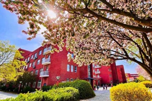 北京外國語大學(xué)外籍人員子女學(xué)校(地址:北外附校)春日校園