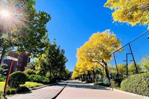 北京外國語大學(xué)外籍人員子女學(xué)校(地址:北外附校)校園走道