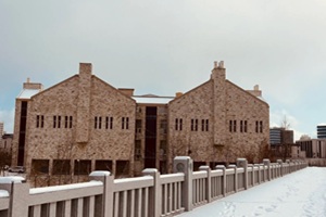 大連東軟國(guó)際課程中心學(xué)校建筑