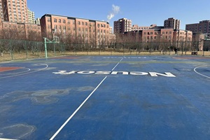 大連東軟國(guó)際課程中心操場(chǎng)