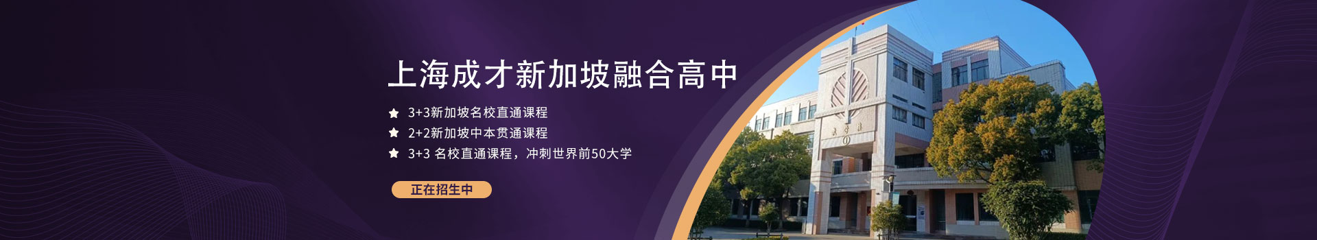 上海成才新加坡融合高中